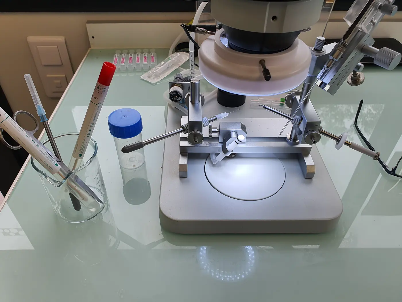Lupa binocular de laboratorio para el diagnóstico