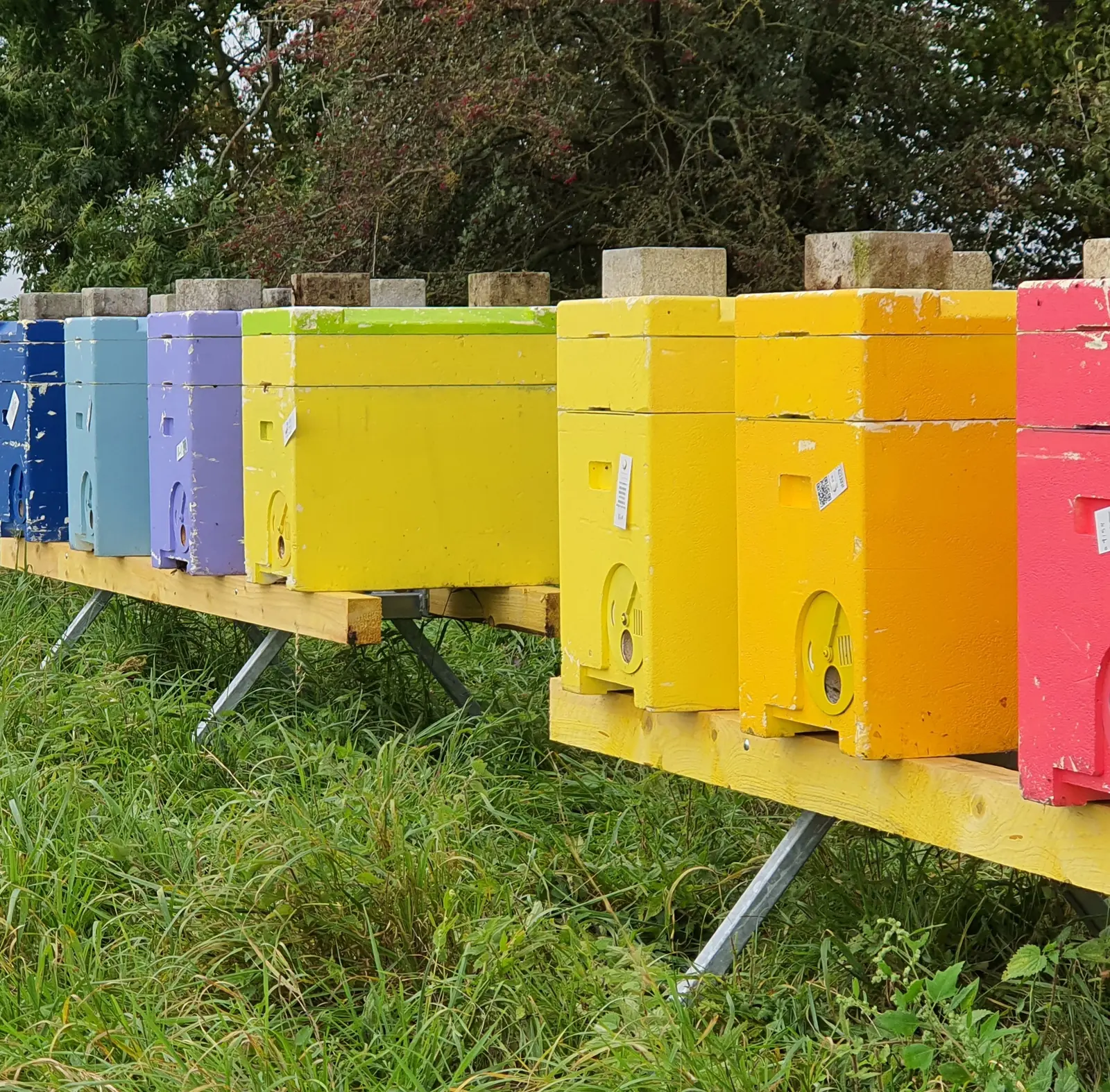 Colmenar con colmenas de colores en la hierba